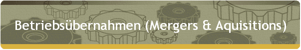 Betriebsübernahmen (Mergers & Aquisitions)